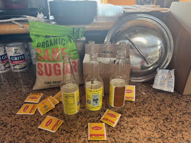 kombucha mountain vibe