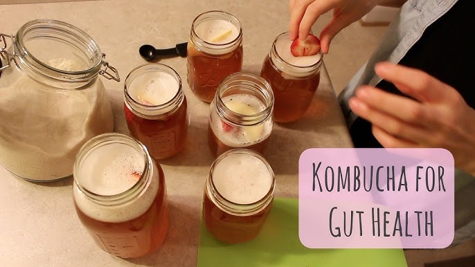 Gut health kombucha image
