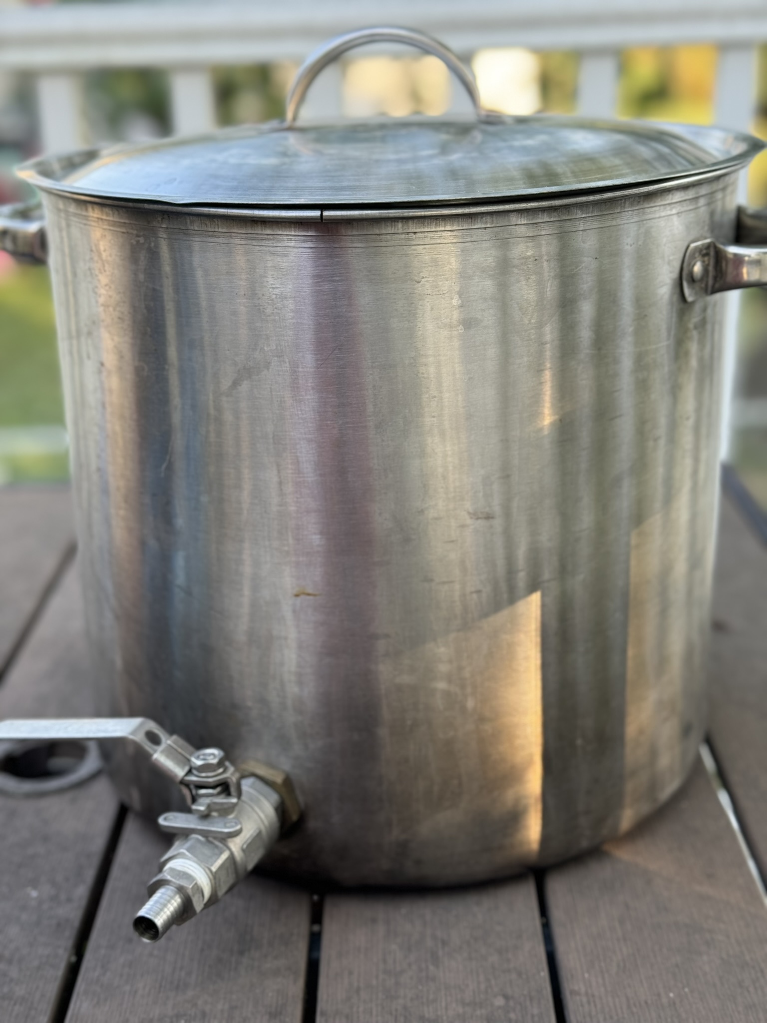 Quart of Scoby working>
            <div class=