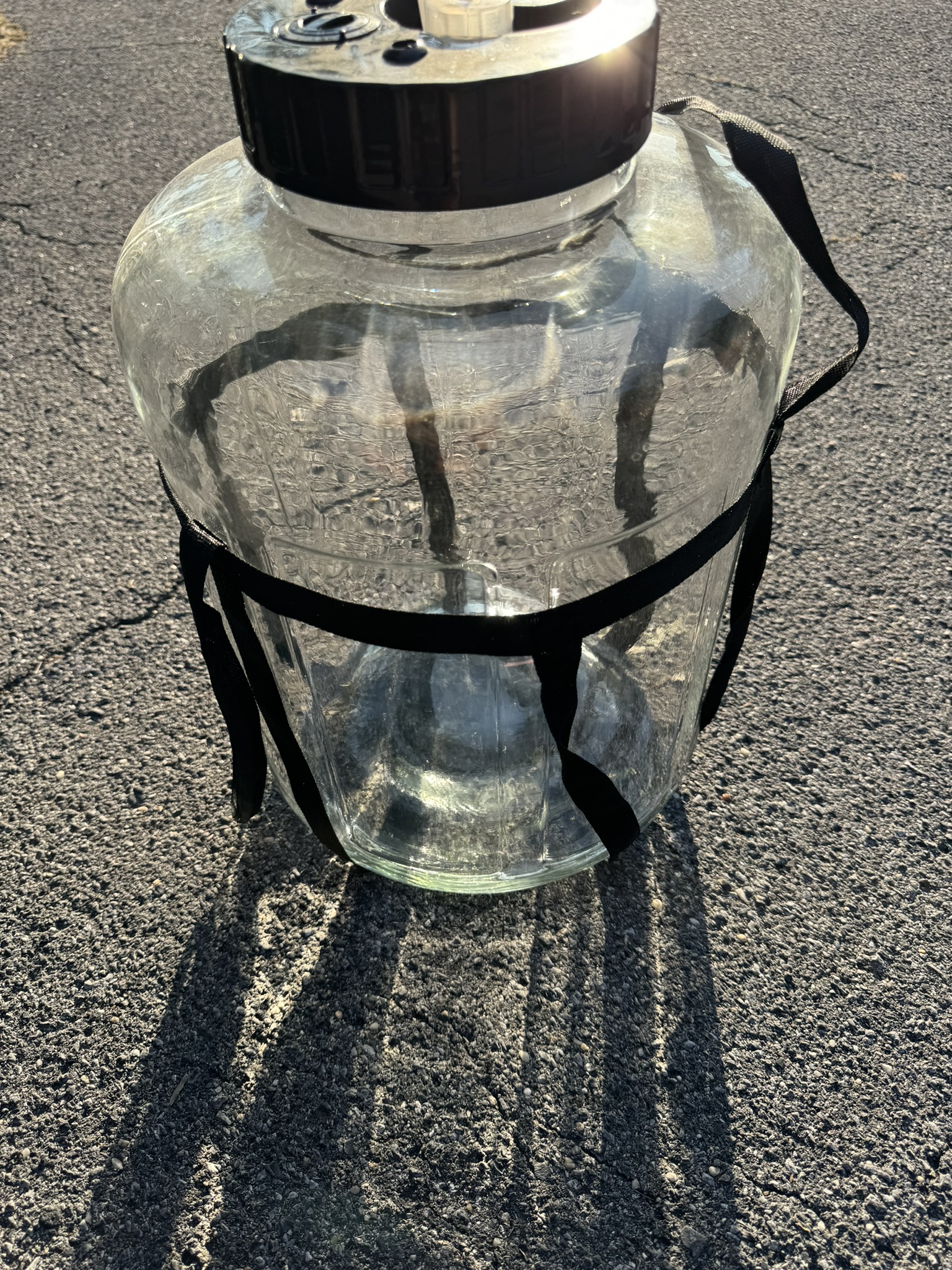 Quart of Scoby working>
            <div class=